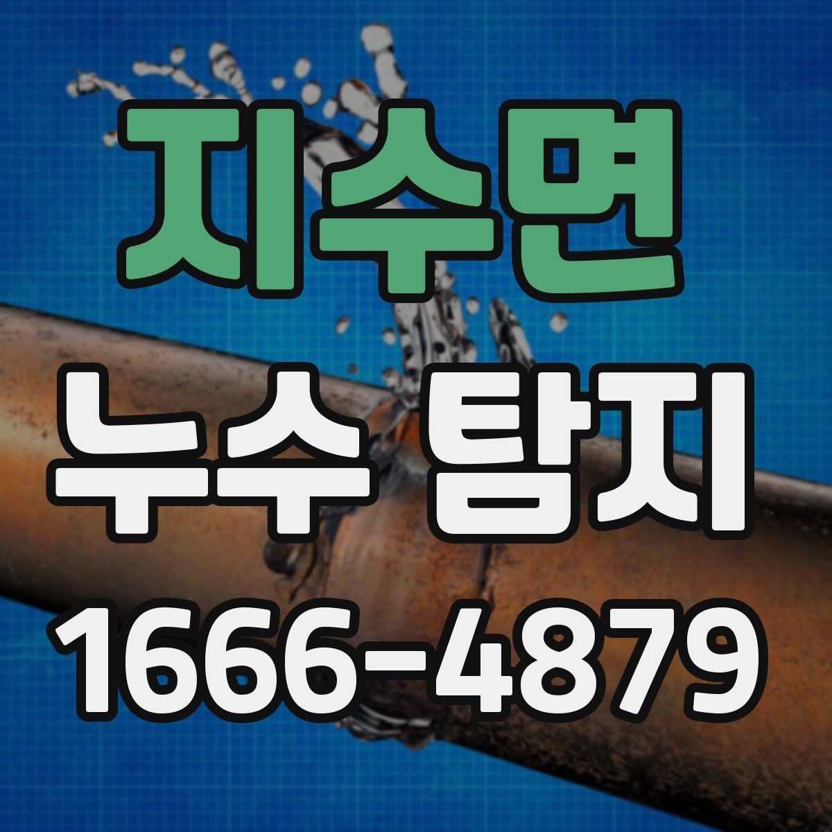 지수면 누수 탐지