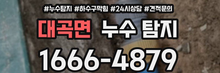 대곡면 누수 탐지