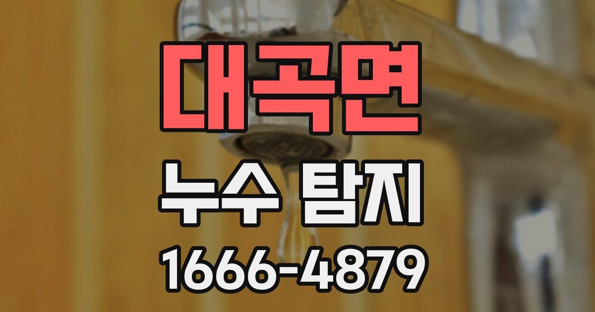 대곡면 누수 탐지