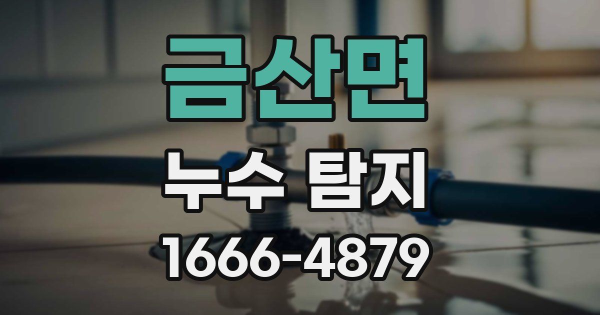 금산면 누수 탐지
