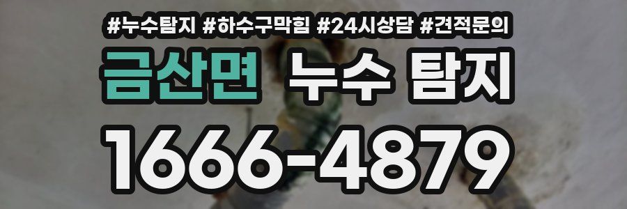 금산면 누수 탐지