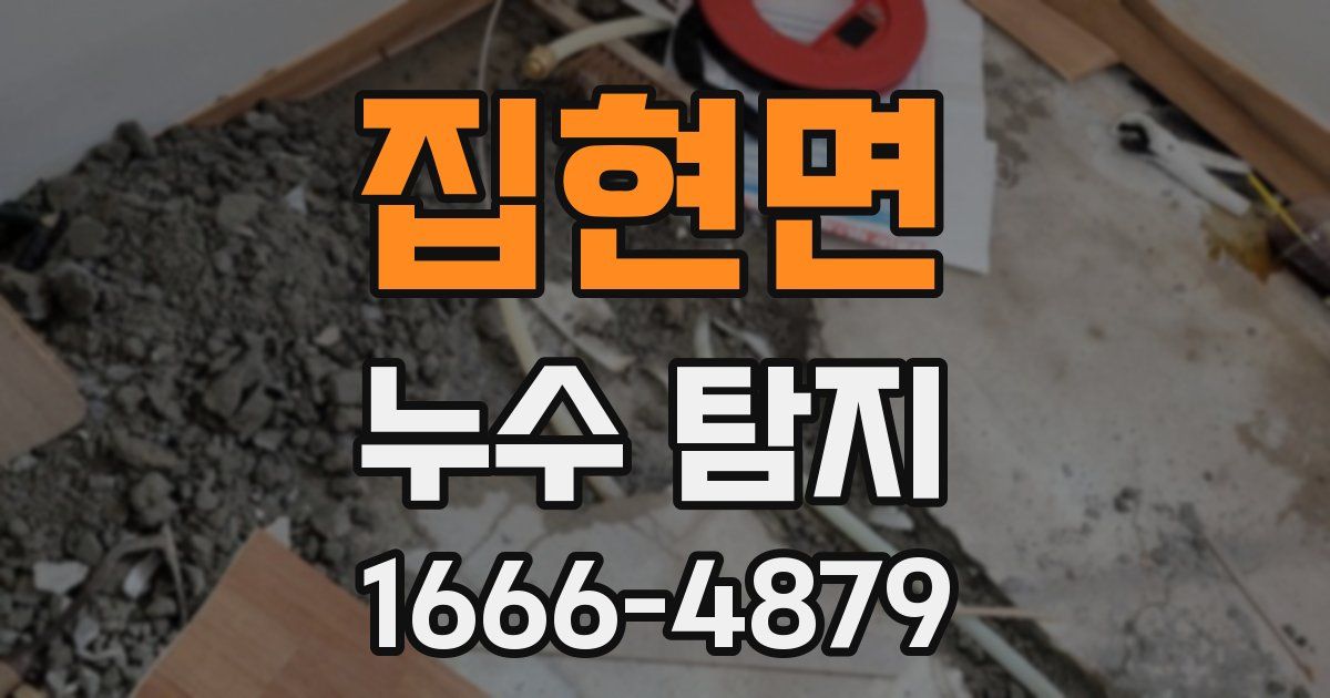 집현면 누수 탐지