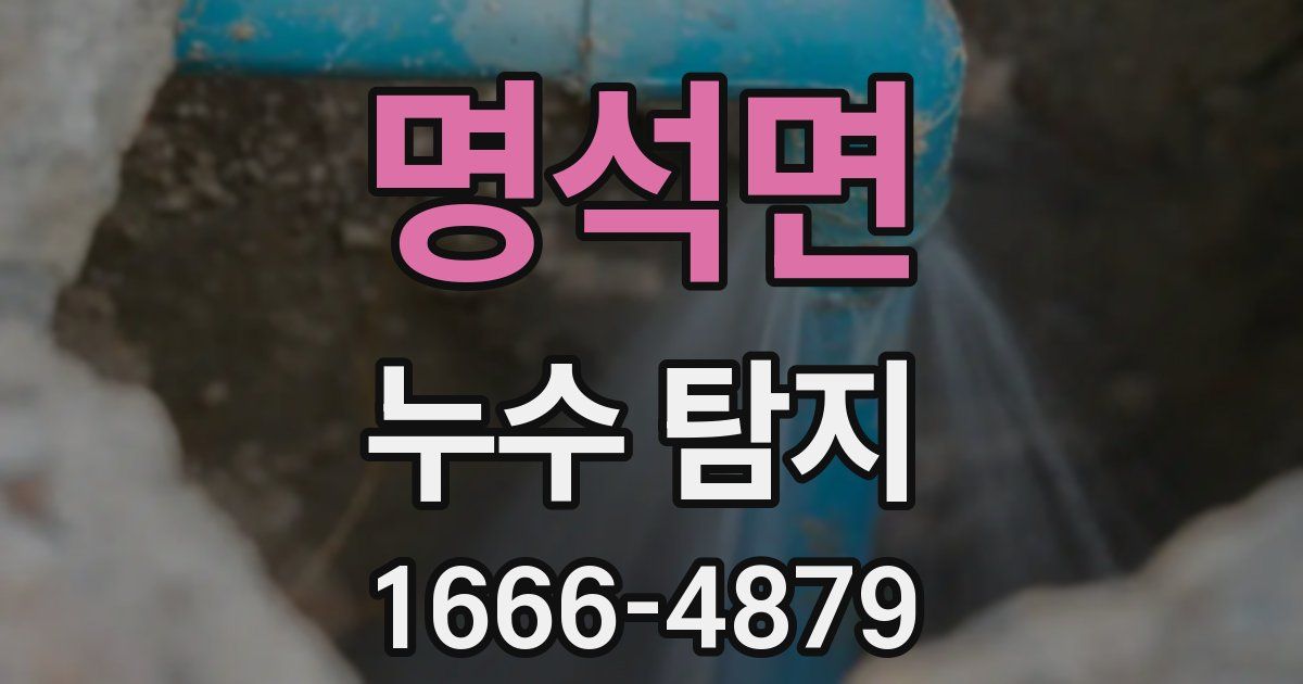 명석면 누수 탐지