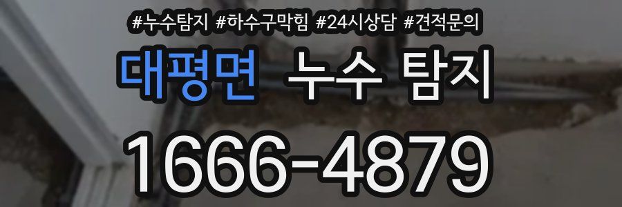 대평면 누수 탐지