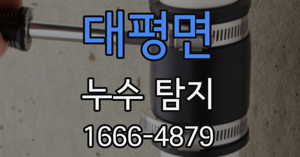 대평면 누수 탐지