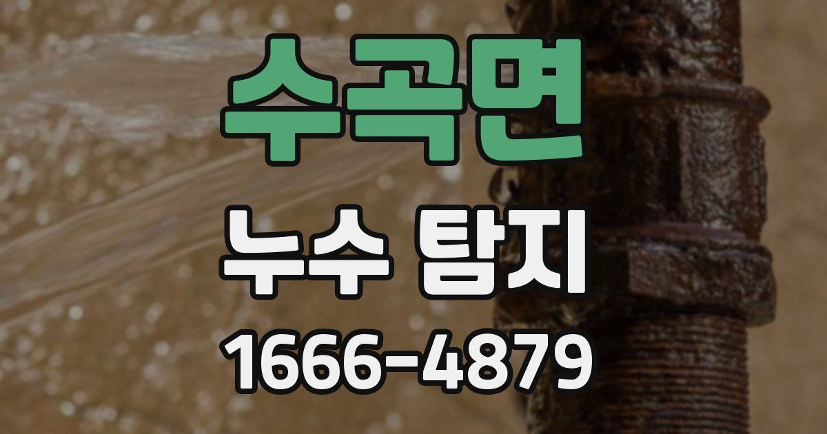 수곡면 누수 탐지