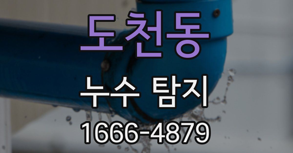 도천동 누수 탐지