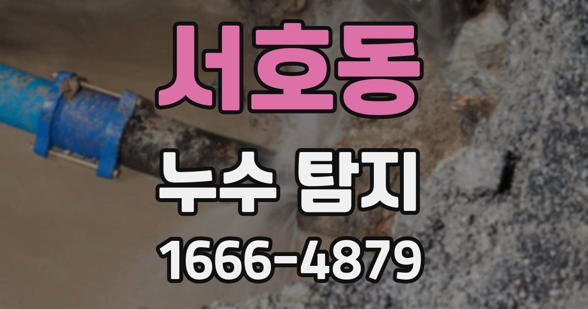 서호동 누수 탐지