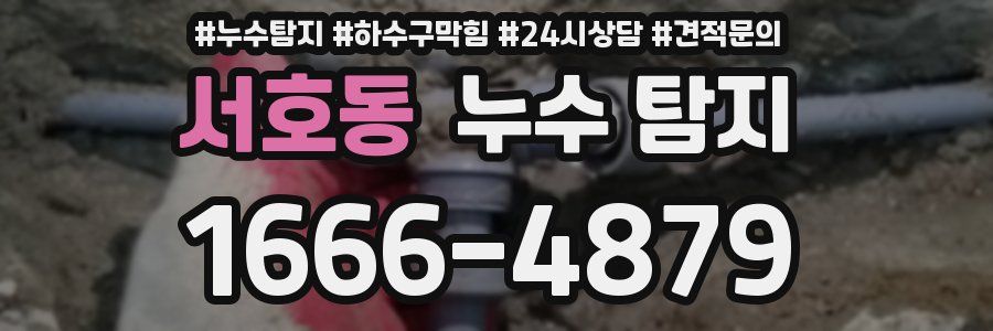 서호동 누수 탐지
