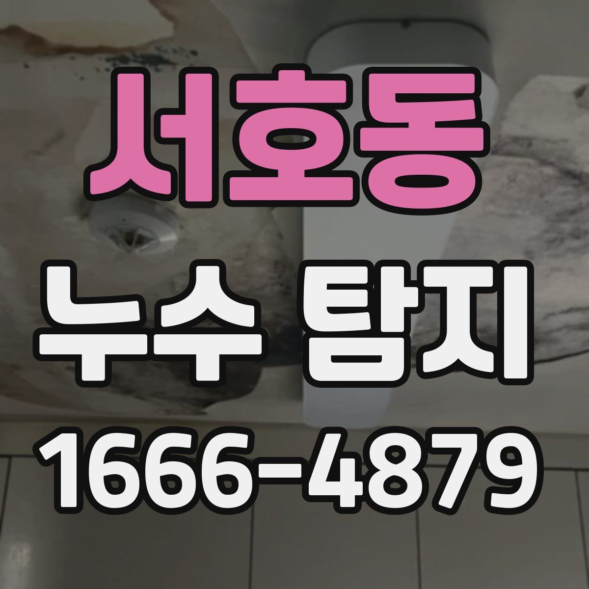 서호동 누수 탐지