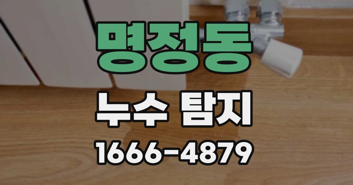 명정동 누수 탐지