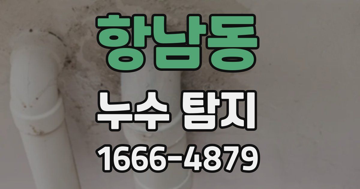 항남동 누수 탐지