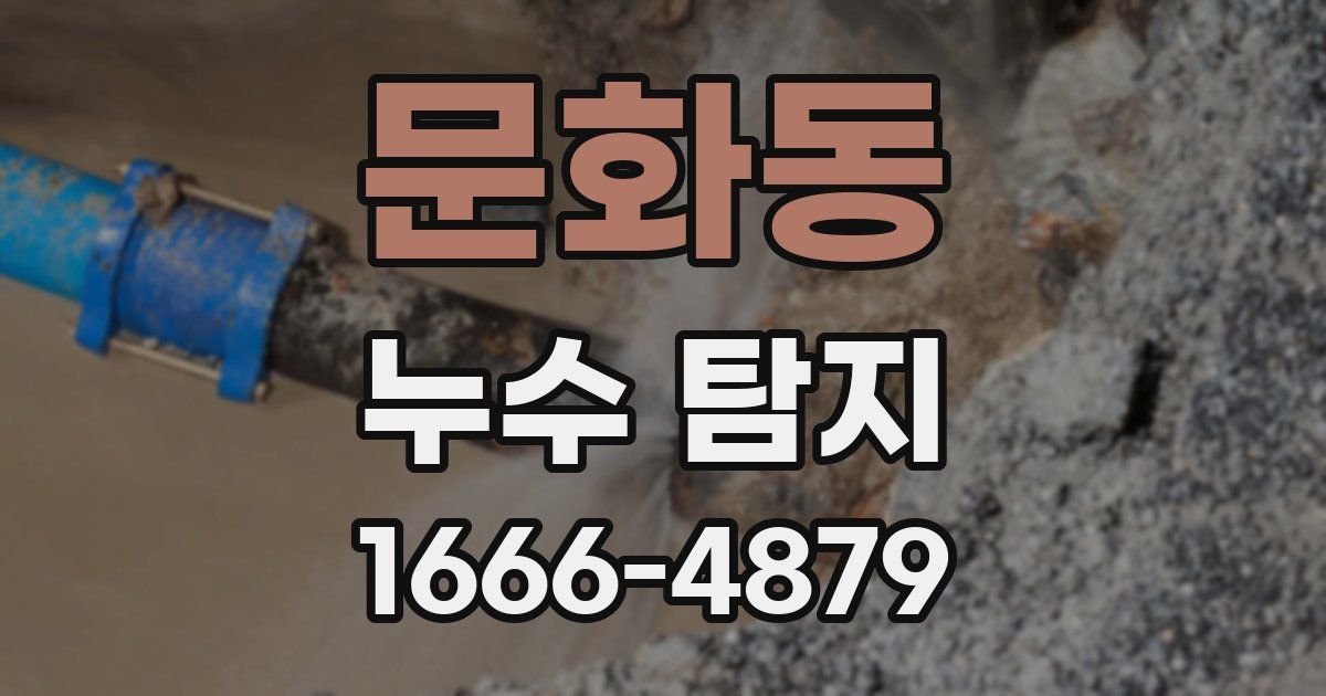 문화동 누수 탐지