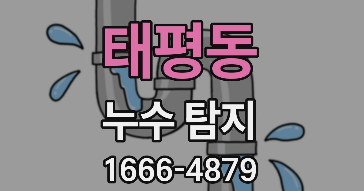 태평동 누수 탐지