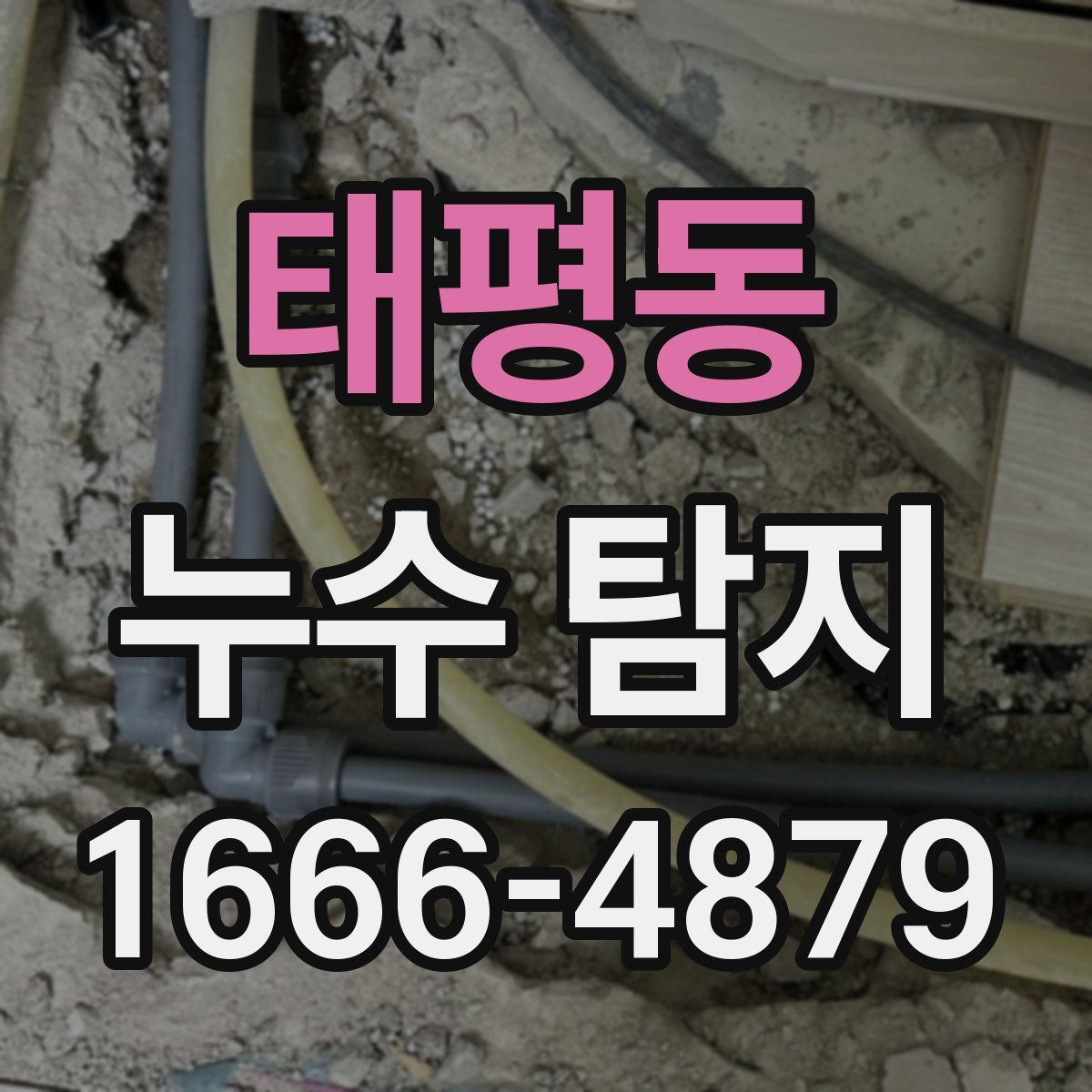 태평동 누수 탐지