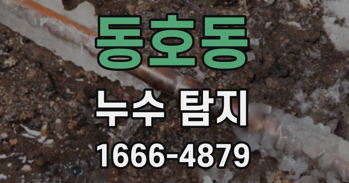 동호동 누수 탐지