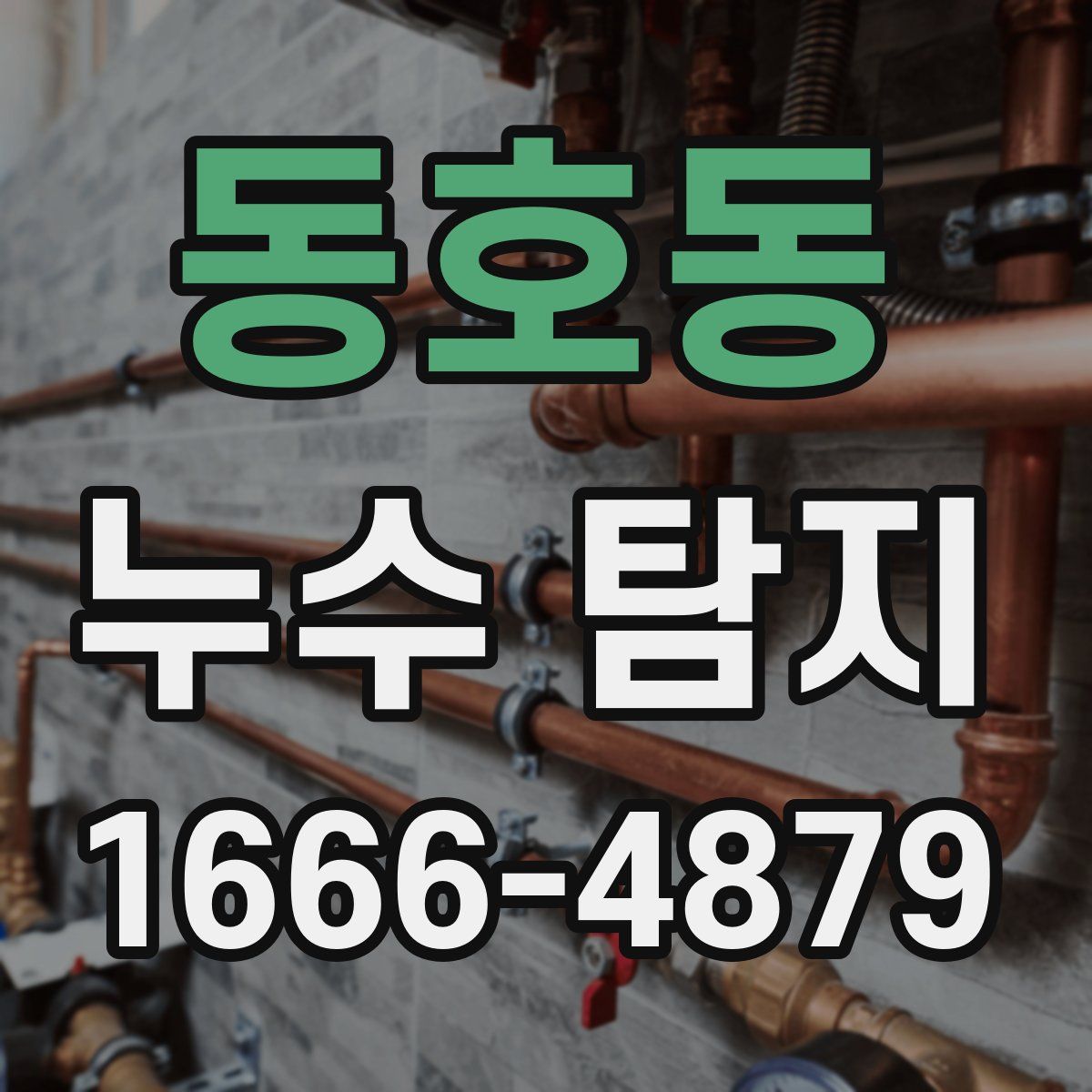 동호동 누수 탐지