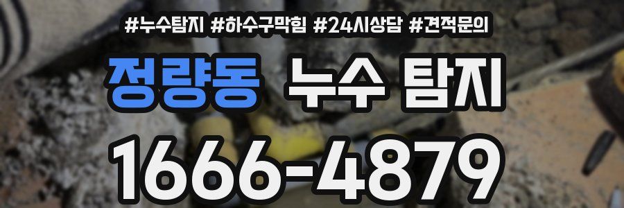 정량동 누수 탐지