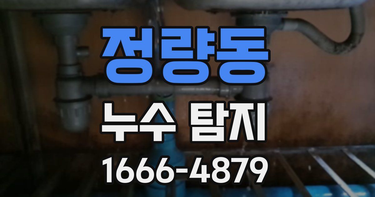 정량동 누수 탐지