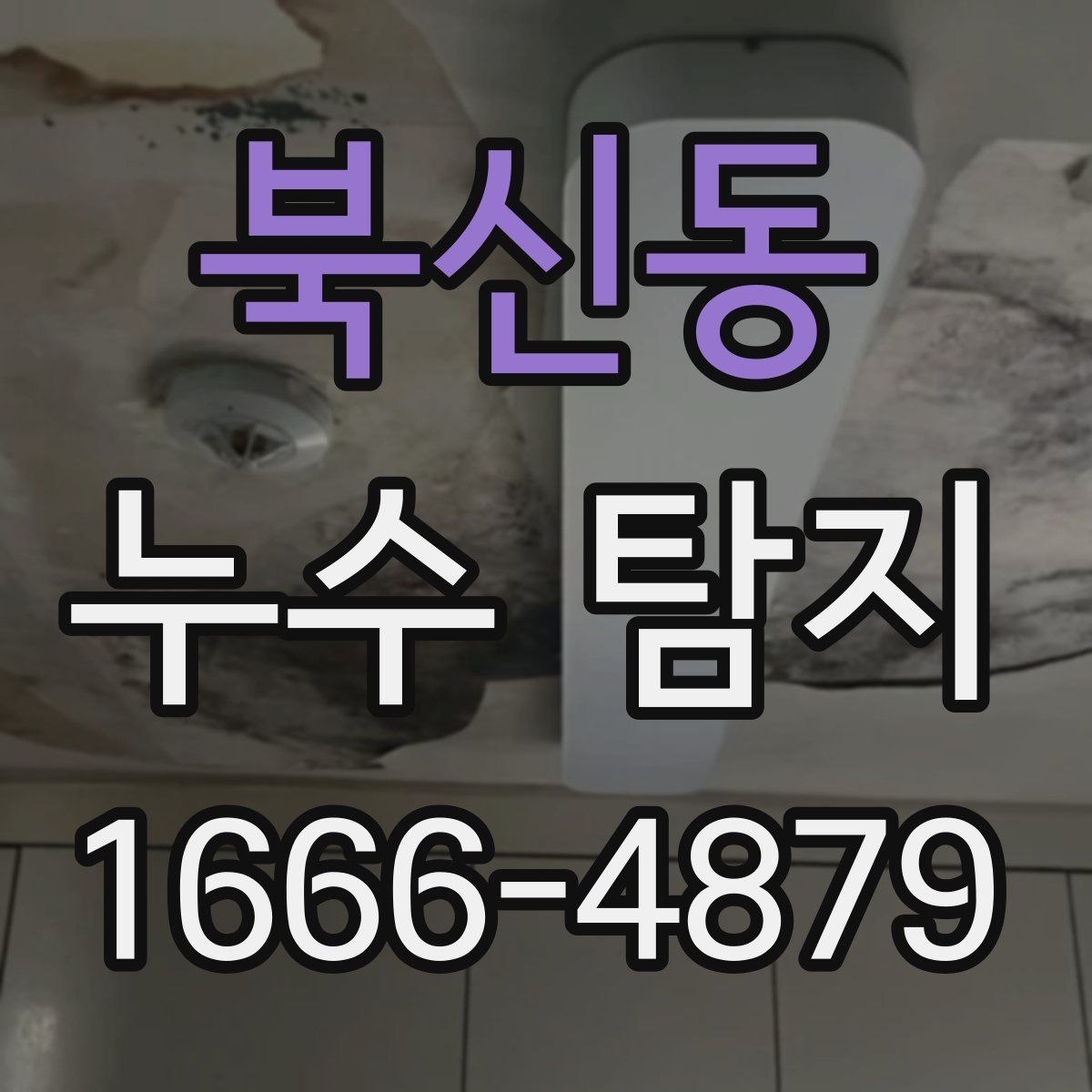 북신동 누수 탐지