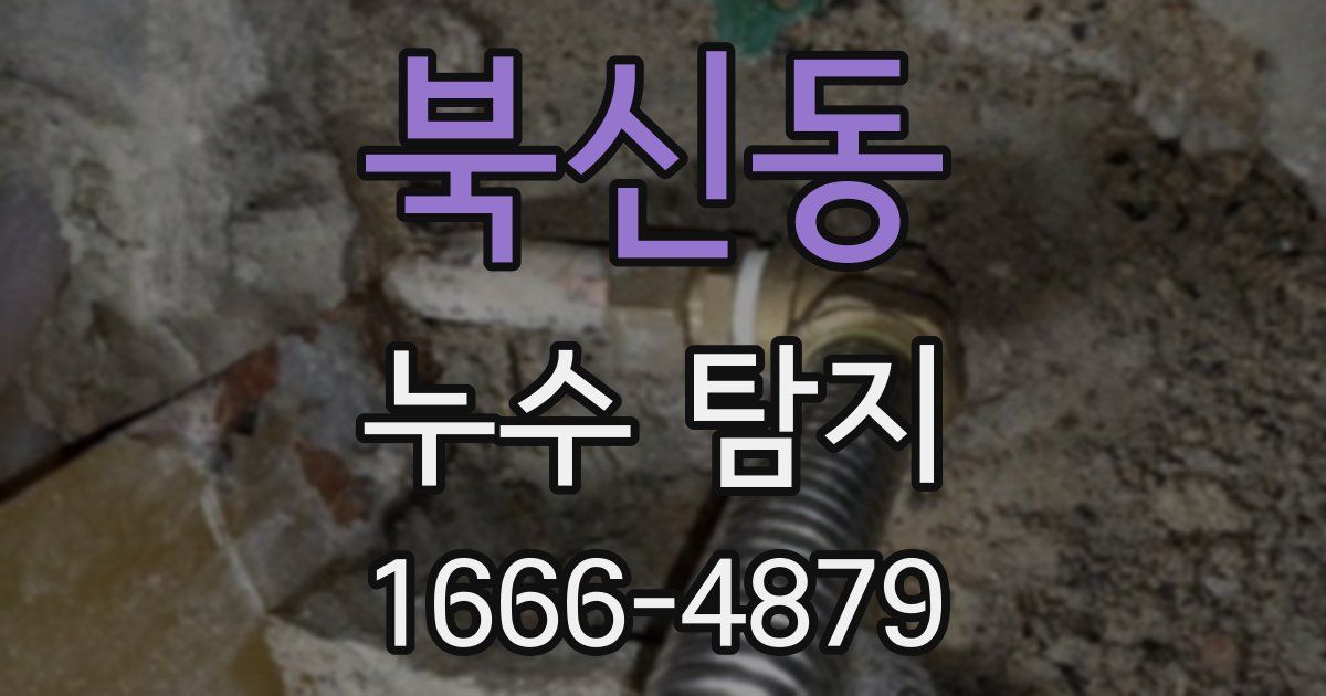 북신동 누수 탐지