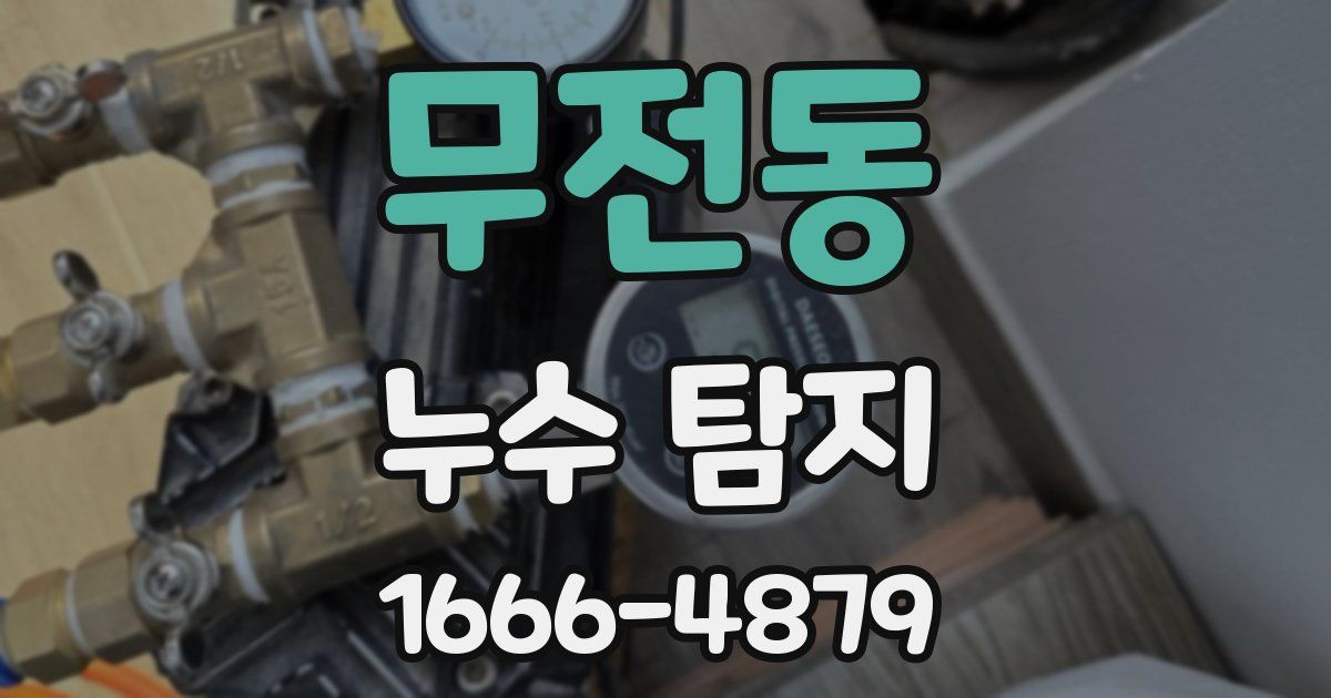 무전동 누수 탐지