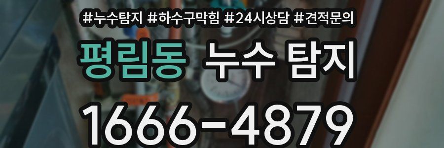 평림동 누수 탐지