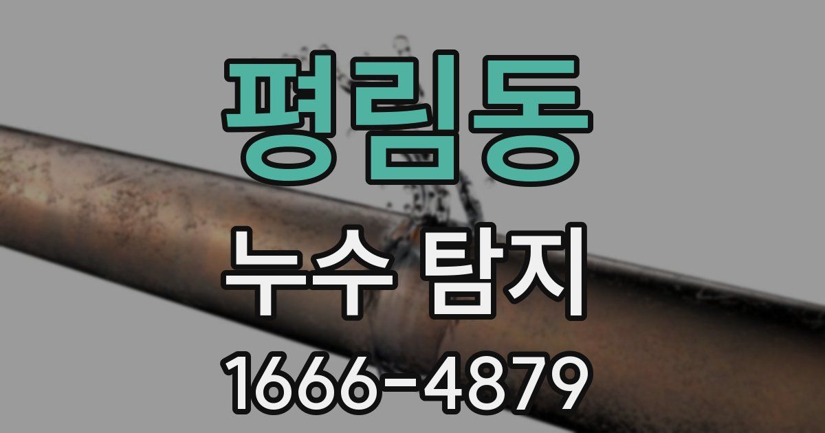 평림동 누수 탐지