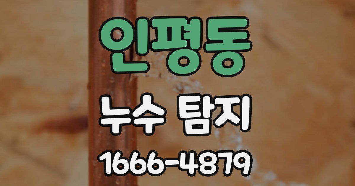 인평동 누수 탐지