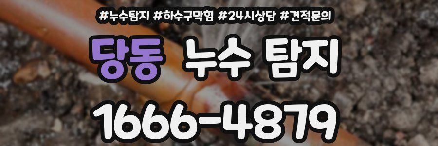 당동 누수 탐지