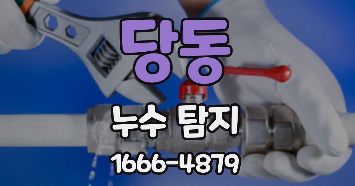 당동 누수 탐지