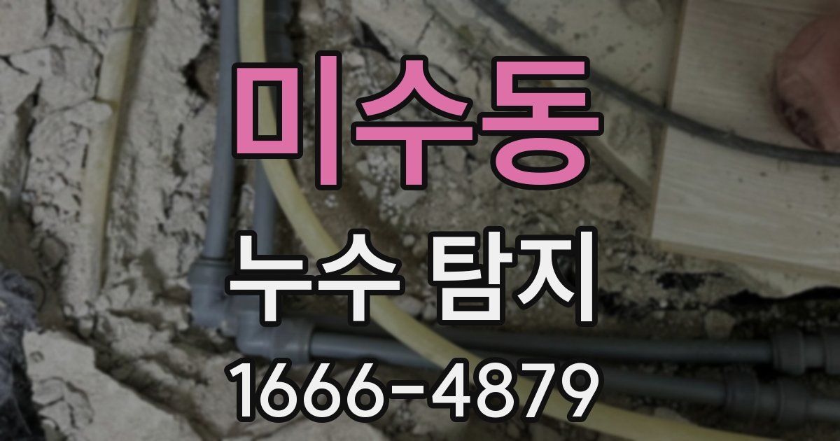 미수동 누수 탐지