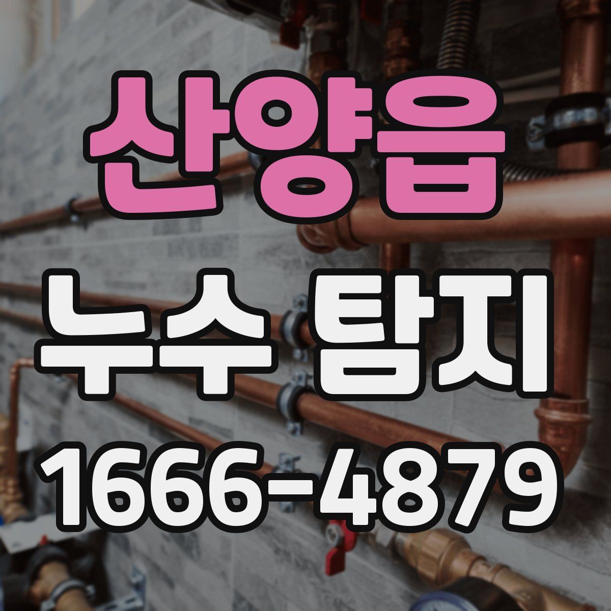 산양읍 누수 탐지