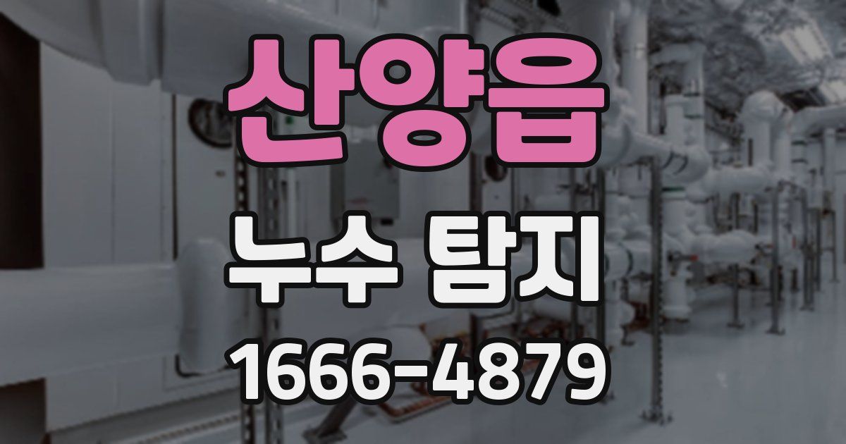 산양읍 누수 탐지