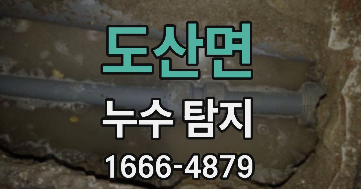 도산면 누수 탐지