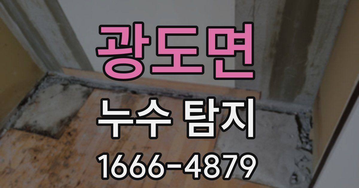 광도면 누수 탐지