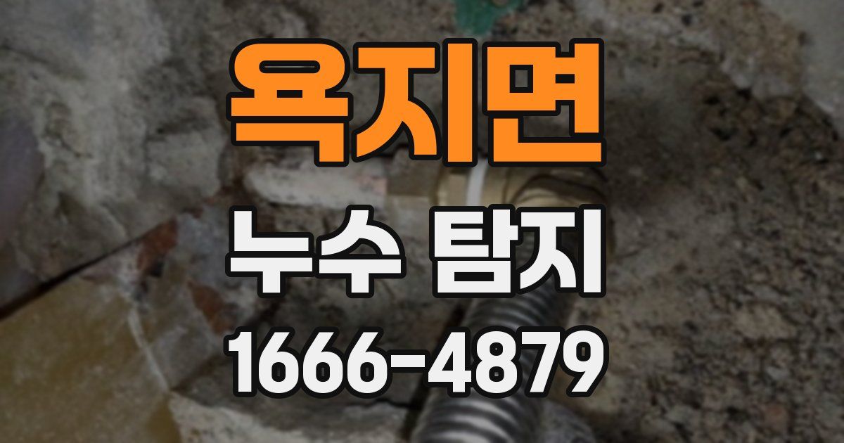 욕지면 누수 탐지