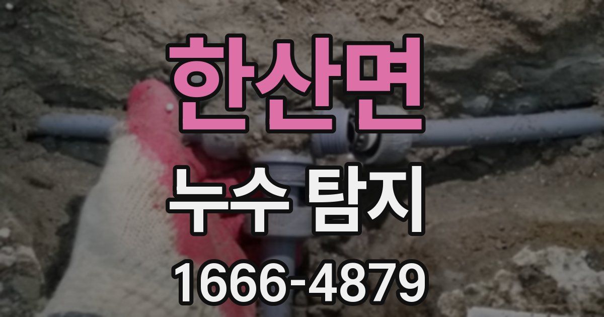 한산면 누수 탐지