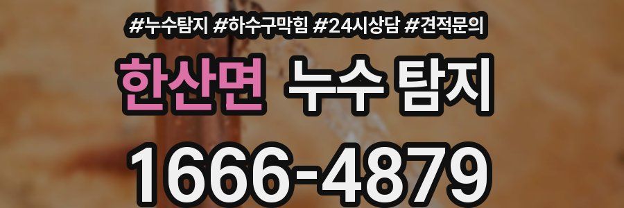 한산면 누수 탐지