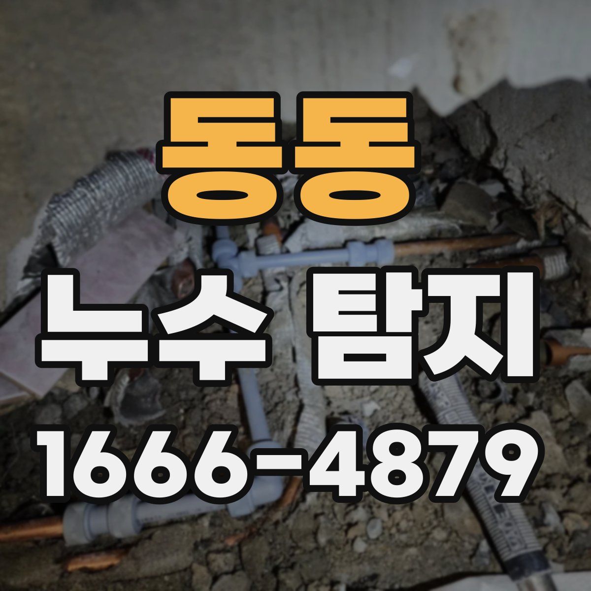 동동 누수 탐지