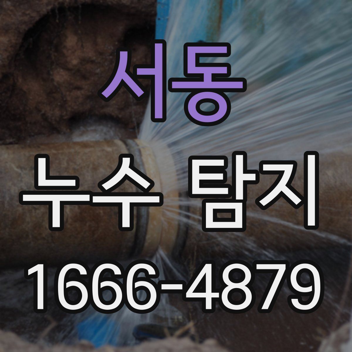 서동 누수 탐지
