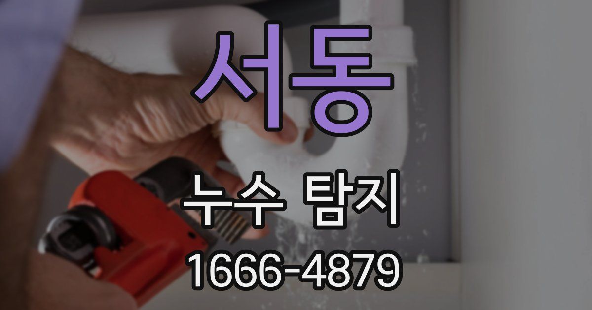 서동 누수 탐지