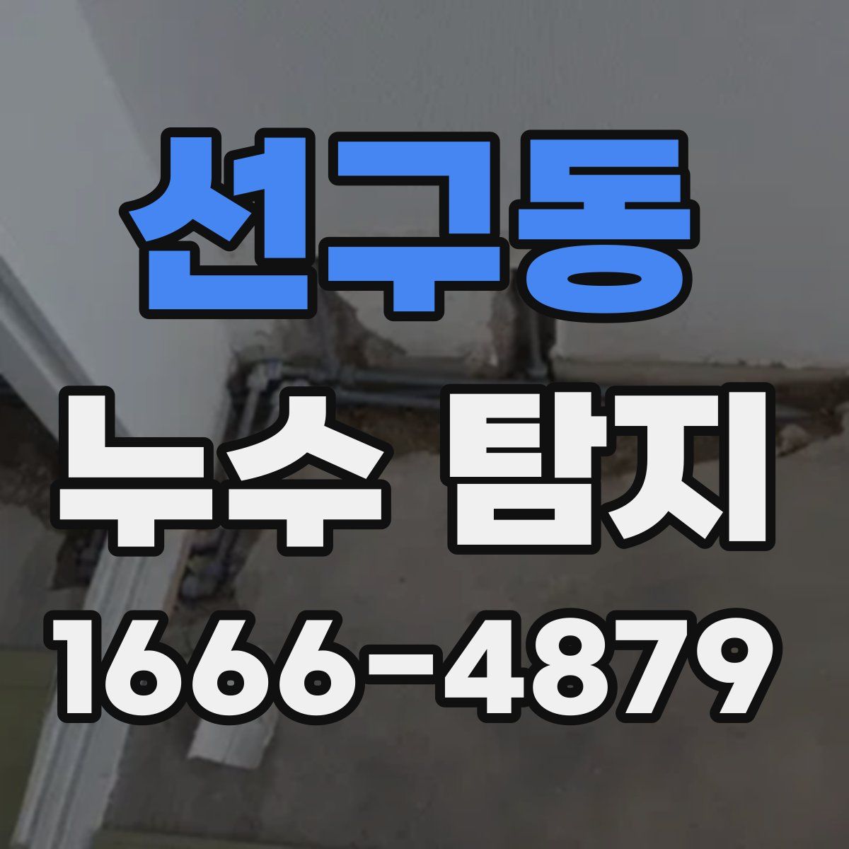 선구동 누수 탐지