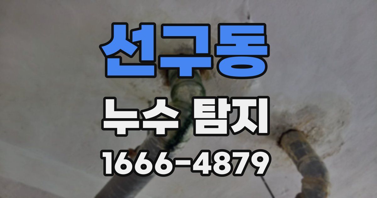 선구동 누수 탐지