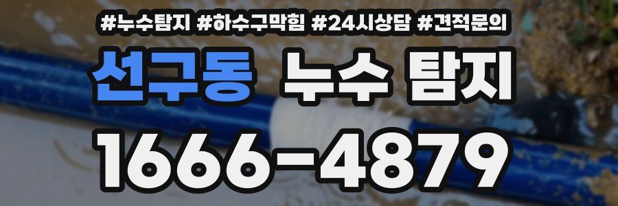 선구동 누수 탐지