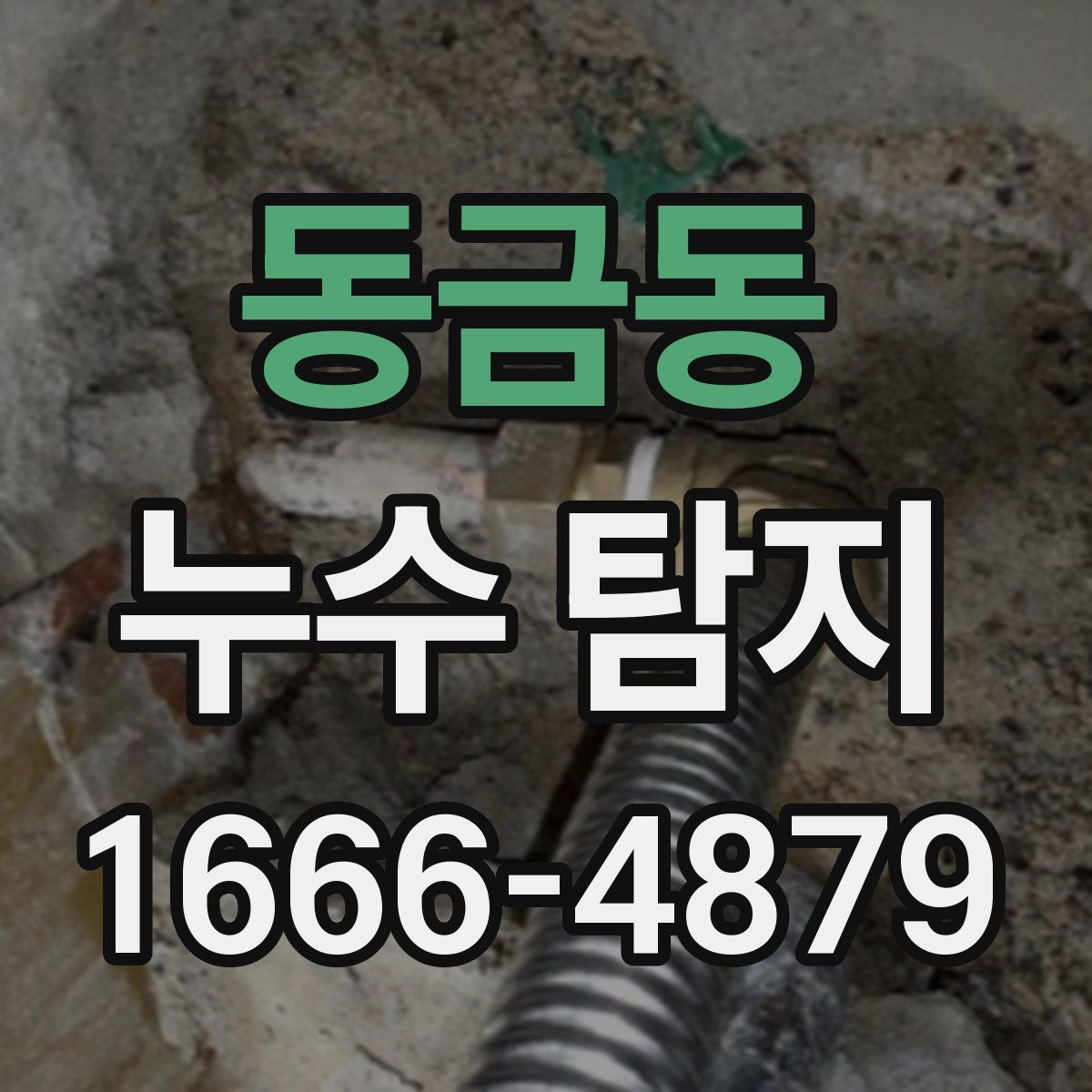 동금동 누수 탐지