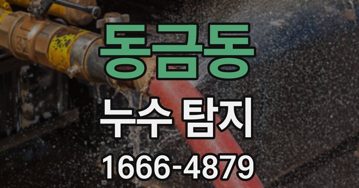 동금동 누수 탐지