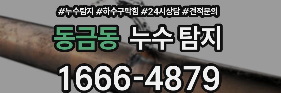 동금동 누수 탐지