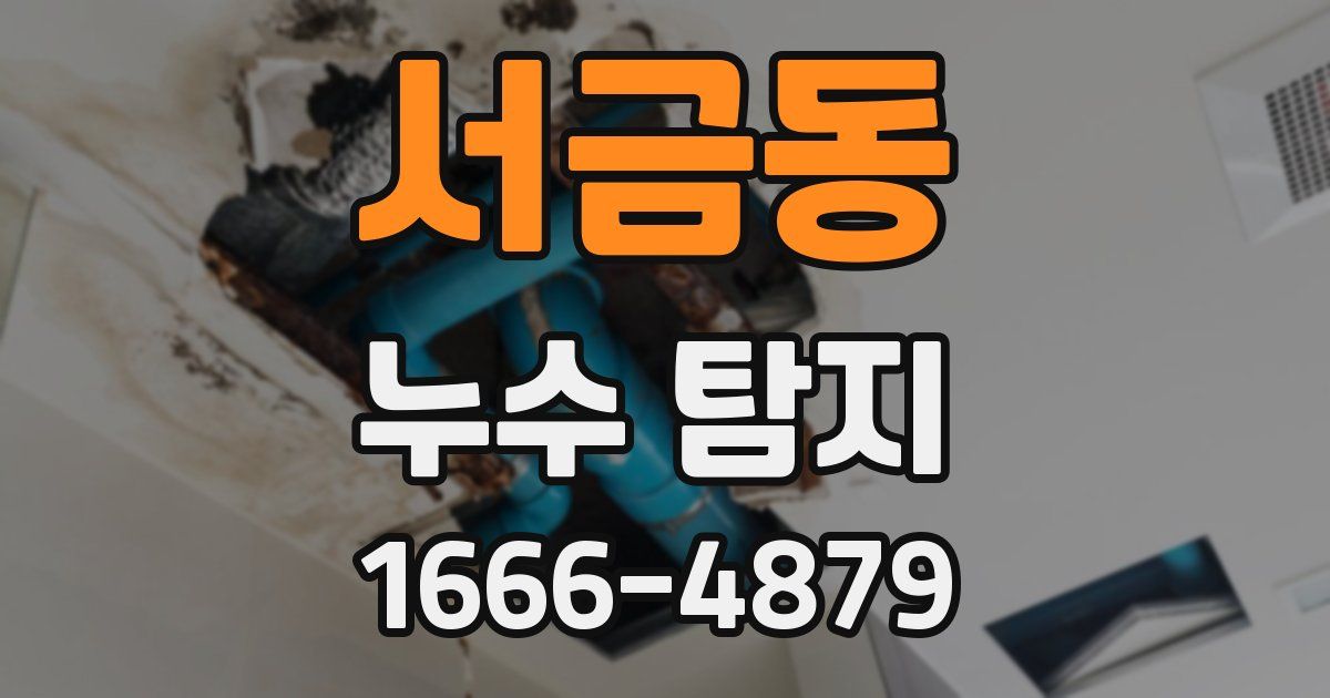 서금동 누수 탐지