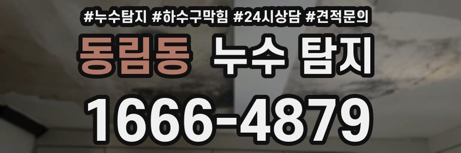 동림동 누수 탐지